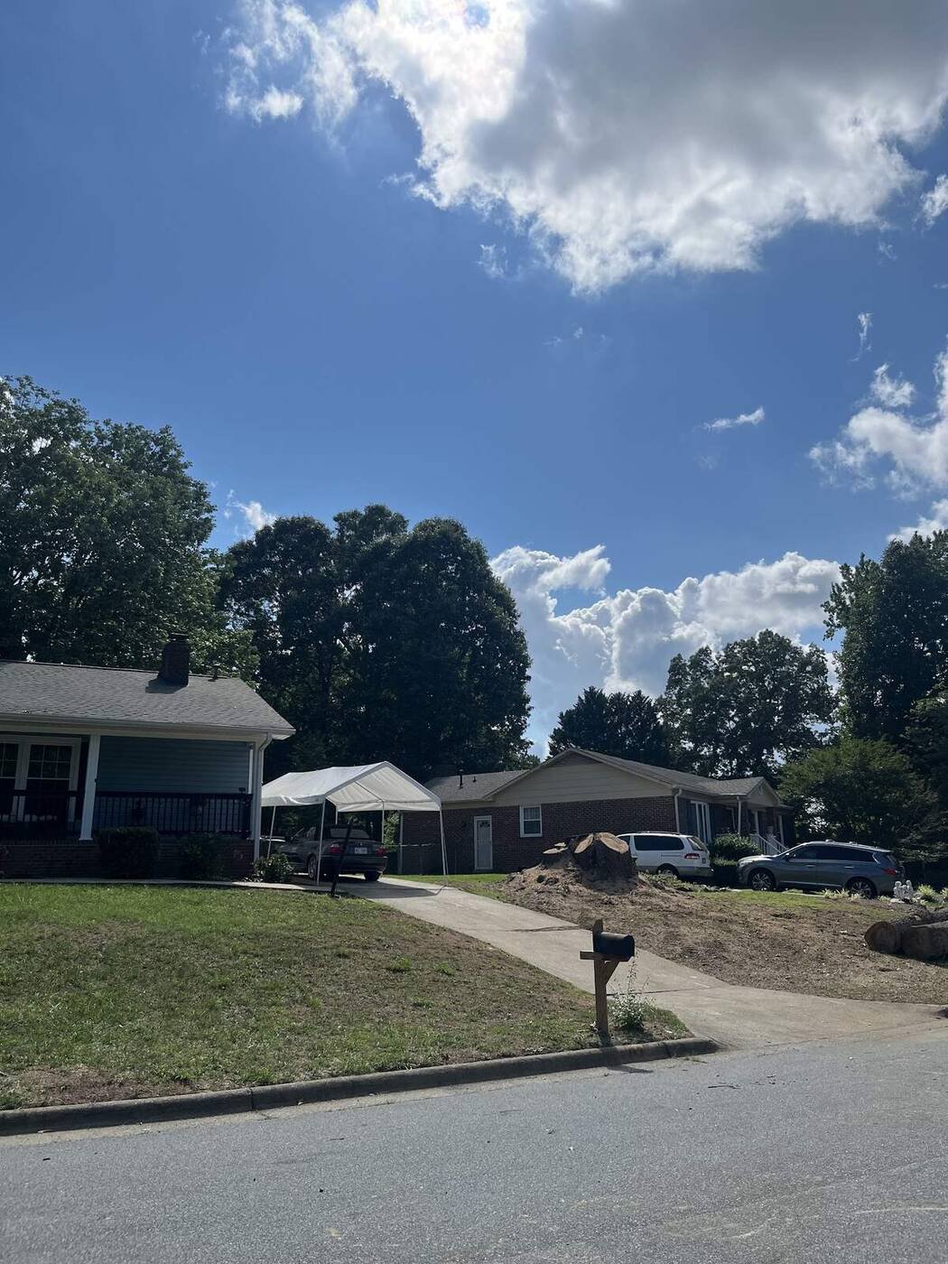 Front yard raked clean — Green Limb Tree Service, Greensboro NC