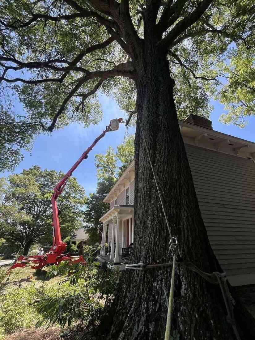 Green Limb Tree Service crew removing a large storm-damaged tree from a bucket truck beside a Greensboro home