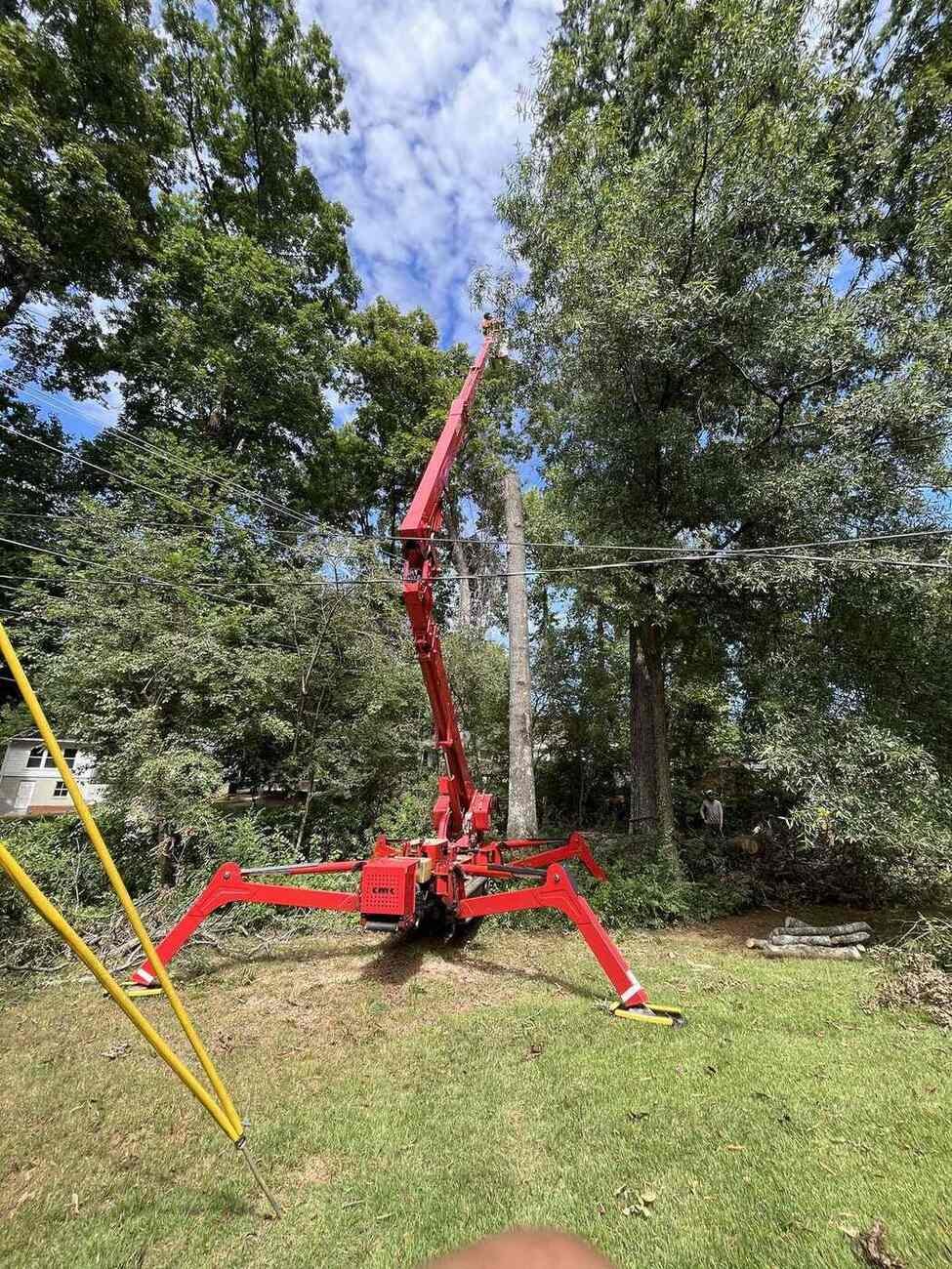 Backyard tree removal with a spider lift in Greensboro