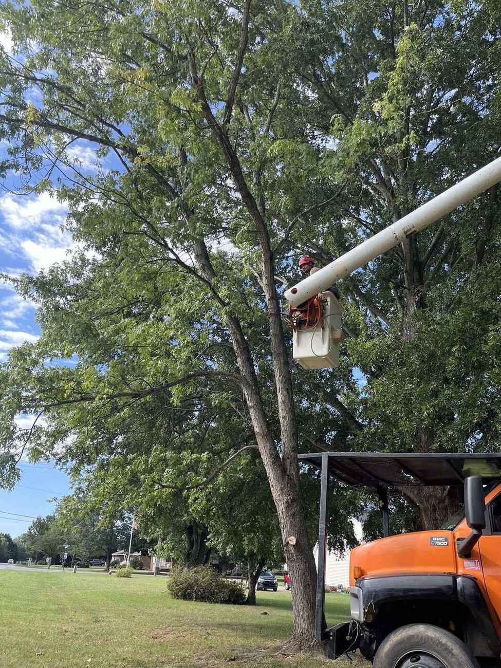 Roadside tree removal with a spider lift in the Piedmont Triad