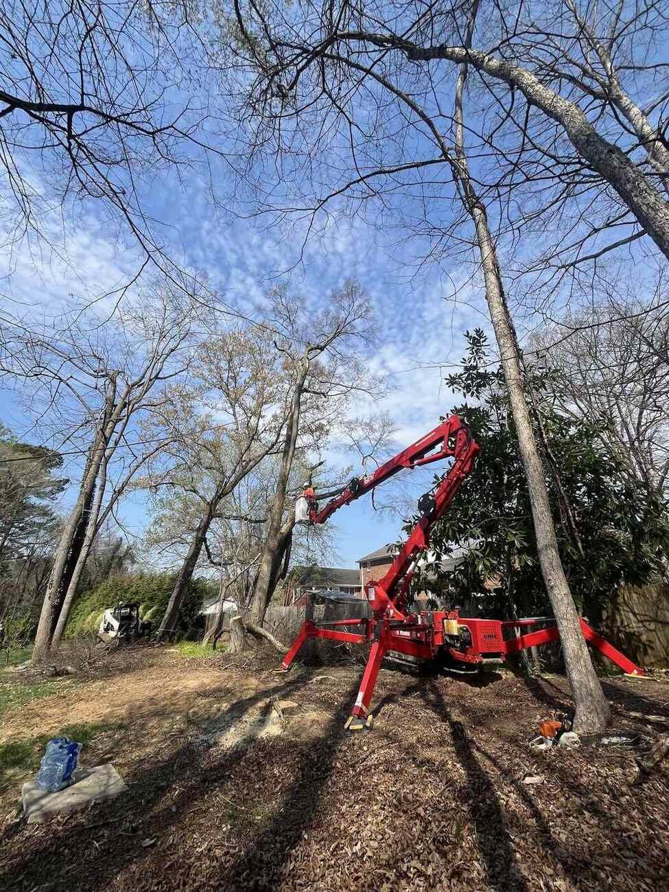 Working into a wooded canopy — Green Limb Tree Service, Greensboro NC
